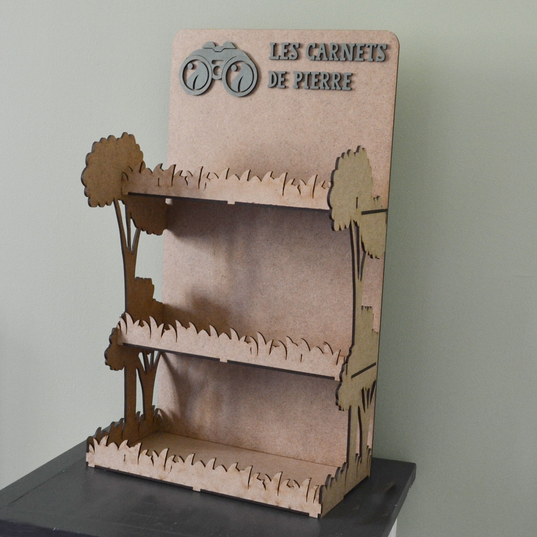 Das Pierre Notebooks-Display