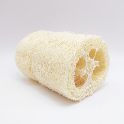 Esponja de esponja vegetal