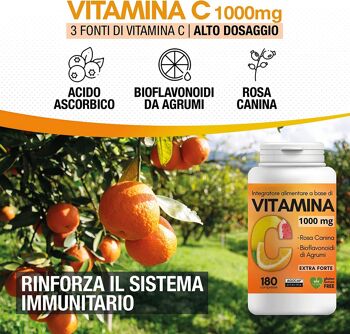 Vitamine C 1000 mg avec bioflavonoïdes d'agrumes et d'églantier, haute absorption 2