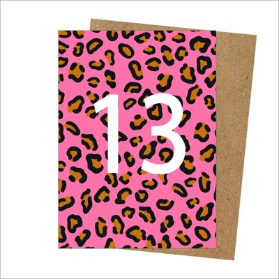 Karte zum 13. Geburtstag-Leopard-Pack-6