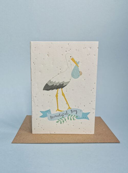 baby-boy-stork-seed-card-pack-6