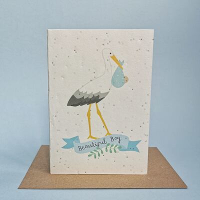 baby-boy-stork-seed-card-pack-6