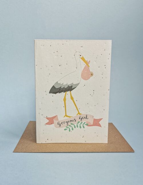 baby-girl-stork-seed-card-pack-6