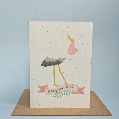baby-girl-stork-seed-card-pack-6