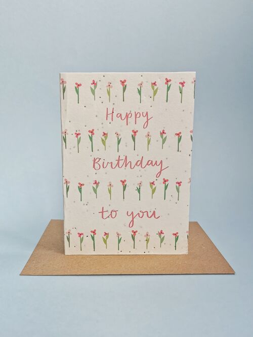 happy-birthday-to-you-seed-card-pack-6