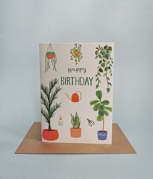 house-plant-birthday-card-a6-pack-of-6