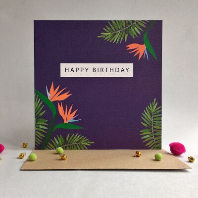 tropical-birthday-card-pack-6