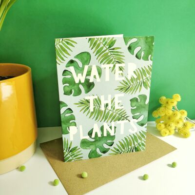 water-the-plants-card-pack-of-6