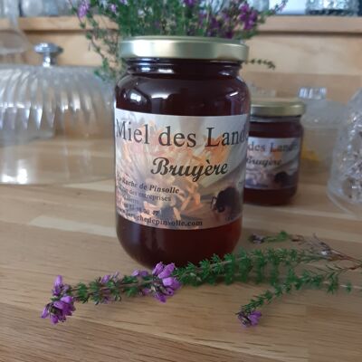 Blütenhonig - Erica Heather - 500g