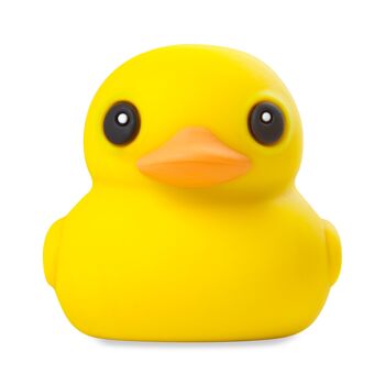 Clé USB Canard 16GB 1