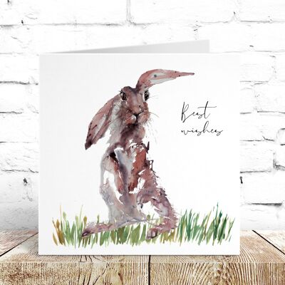 Forest Friends - Watercolour Greeting Cards
