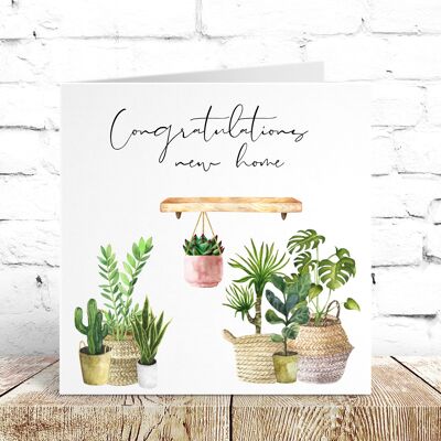 House Plants - Watercolour Greeting Cards