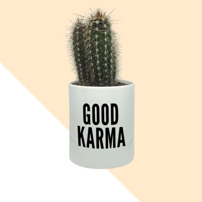 Cactus Good Karma