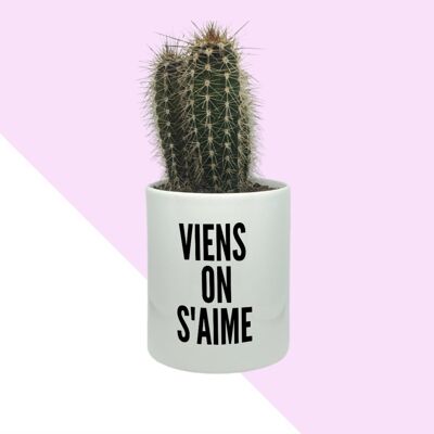 Cactus Viens on s’aime