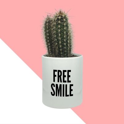 Cactus Free Smile
