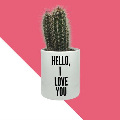 Cactus Hello I love You