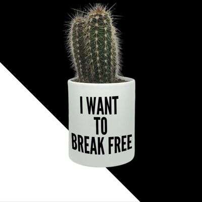 Cactus I want to break free