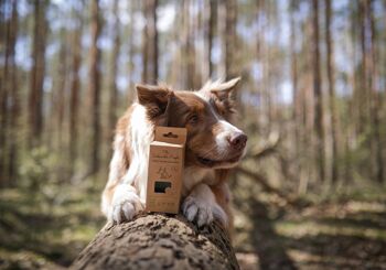 Compra Sacchetti biodegradabili per escrementi di cane (112 pezzi