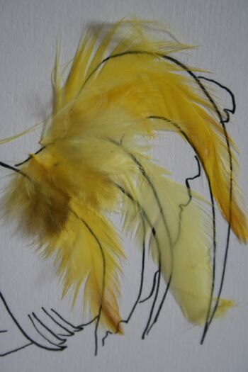 Carte d'anniversaire en jaune avec de vraies plumes de coq 4