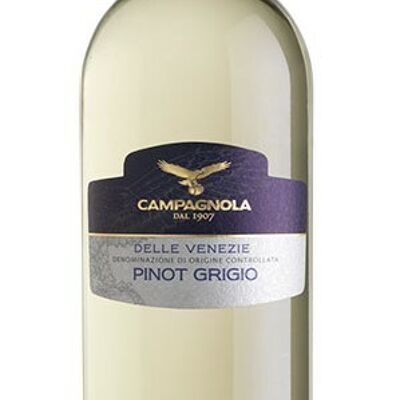 Campagnola Pinot Grigio Veneto 2023