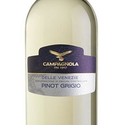 Campagnola Pinot Grigio Venetien 2023