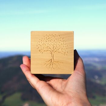 Ensemble de cubes de pin en pierre d'arbre | Cubes de pin cembro avec motif et structure dégoulinante + huile de pin cembro BIO (10 ml) 4