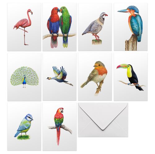 10 greeting cards birds with envelope