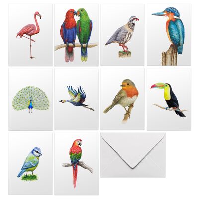 10 greeting cards birds with envelope
