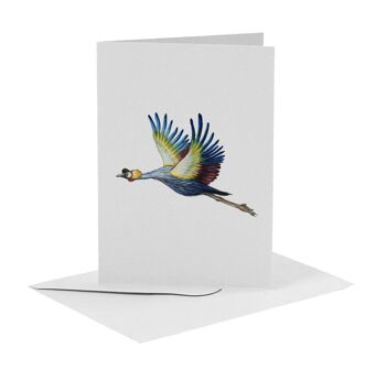 10 cartes de voeux oiseaux avec enveloppe 2