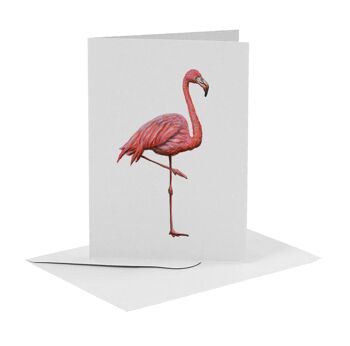 10 cartes de voeux oiseaux avec enveloppe 3