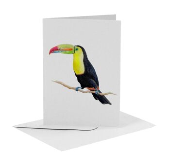 10 cartes de voeux oiseaux avec enveloppe 4