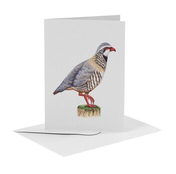 10 cartes de voeux oiseaux avec enveloppe 5