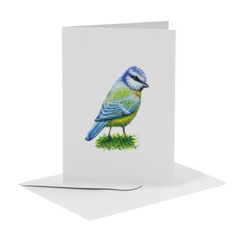 10 cartes de voeux oiseaux avec enveloppe 6