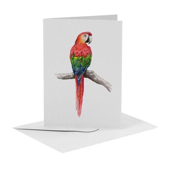 10 cartes de voeux oiseaux avec enveloppe 7