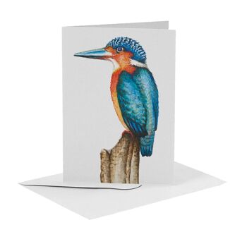 10 cartes de voeux oiseaux avec enveloppe 8