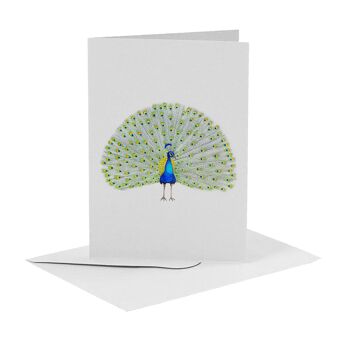 10 cartes de voeux oiseaux avec enveloppe 9