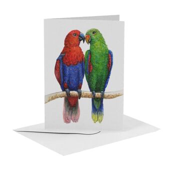 10 cartes de voeux oiseaux avec enveloppe 10