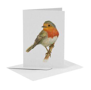 10 cartes de voeux oiseaux avec enveloppe 11