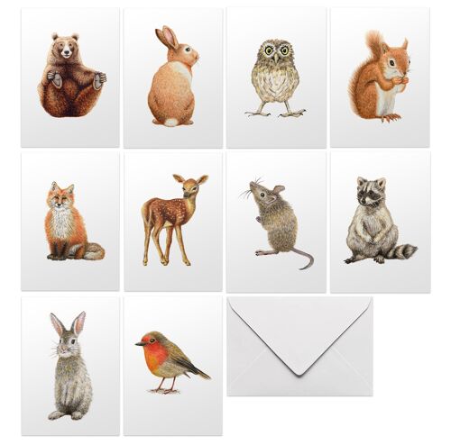 10 greeting cards forest animals with envelope