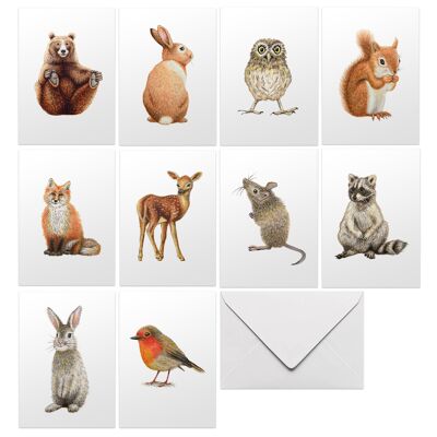 10 greeting cards forest animals with envelope