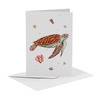 10 cartes de voeux animaux marins avec enveloppe 6