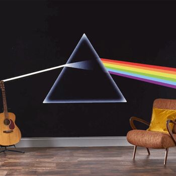 Rock Roll Pink Floyd Mural - Côté Obscur de la Lune - Original