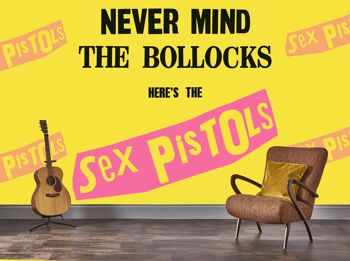 Peinture murale Rock Roll Sex Pistols - Never Mind The Bollocks 2