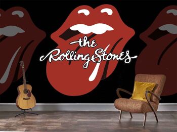 Rock Roll The Rolling Stones Fresque - Langue 2