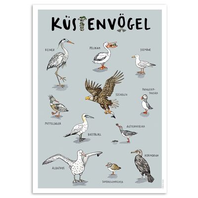 Poster con animali "Uccelli costieri"