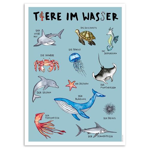 Tier Poster "Tiere im Wasser"