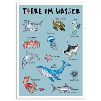 Affiche Animalière "Animaux dans l'eau"