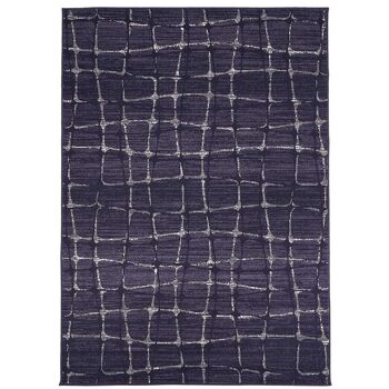 Tapis salon 80x150cm BC SOFIA Gris en Polypropylène 1