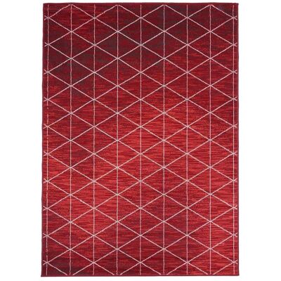 Living room rug 60x110cm BC FJIORD Red in Polypropylene