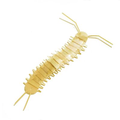 Flatmate - centipede